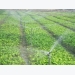 Economical watering model helps increase agricultural productivity