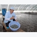 VASEP wants sustainable shrimp farming and export