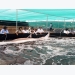 Kiên Giang to shift rice fields to aquaculture