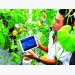 Internet of Things helps farmers boost, improve production