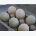 Everything You Need to Know About Duck Eggs