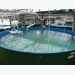 Tropical, subtropical marine fish hatchery technology needs improvement