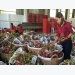 China still key market for Vietnamese farm produce