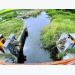 Mekong Delta prepares for summer-autumn rice crop
