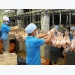 Thai firm to export poultry products by 2020