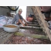 EU refuses 17 batches of Vietnamese seafood, almond kernels