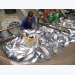 Japan among top 10 importers of Việt Nam’s tra fish for first time