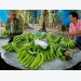 Banana to become Laos’ major agricultural export