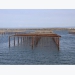 Profits double for EU aquaculture