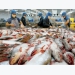 Seafood exports decreased nearly by 20% in March