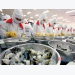 Resolve difficulties in exporting agricultural and seafood products to India