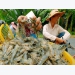 Prices of Vietnamese shrimp may slightly decrease in 2020 due to Covid-19