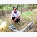 Sáng chế hệ thống phun, tưới tự động cho cây ăn trái