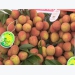 Hải Dương exports first lychees to Japan