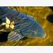 Xâm nhập mặn: Có thể nuôi cá trắm đen không?