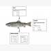 A Guide to Recirculation Aquaculture - Part 10