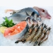 Diễn biến thị trường thủy sản tháng 5/2020: Giá cá tra giảm, giá tôm tăng
