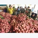 Lychee going digital thanks to Vietrade’s online tie-ups