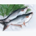 Mỹ tăng 8% lượng cá tra đông lạnh nhập khẩu