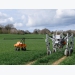 Robot liên hợp diệt cỏ dại bằng điện và gieo hạt