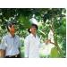 chuyen-dich-cay-an-trai-dung-huong-mang-lai-hieu-qua-cao