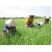 hieu-qua-mo-hinh-cau-lac-bo-gia-dinh-5-khong-3-sach