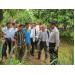 Nhà vườn Đồng Tháp kỳ vọng vào chương trình hợp tác sản xuất xoài với Nhật Bản