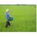 Vụ hè thu 2015 vượt qua nắng hạn, tập trung chăm sóc cây trồng