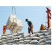 Đã xuất khẩu gần 2,9 triệu tấn gạo