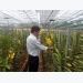 Vườn lan nhiệt đới công nghệ cao ở Khánh Hòa