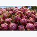 Vietnam to export fresh dragon fruit to Australia after years of talks