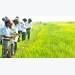 Streamlining credit flows for hi-tech agricultural development