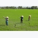 Mekong Delta sees drop in Fall-Winter rice areas