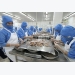Australia tightens inspections on shrimp imports from Vietnam