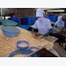 Cashew firms asked to make up output fall with product quality