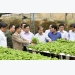 Deputy PM Hue commends agricultural cooperatives in Lam Dong