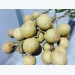 Vietnam fruit producers struggle to enter export markets