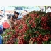 Vietnam’s fruit, veggie exports exceed 2 billion USD in H1