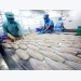 Vietnam H1 seafood exports up 12.3 pct