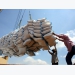 Rice export upbeat in first half
