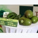 Activities to promote Dak Nong’s specialty avocados