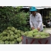 Efforts made to boost Vietnamese fruit exports to China