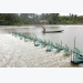 Trà Vinh farmers grow mangrove forests to breed shrimp, other species