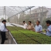 Quang Tri lures investment in hi-tech agriculture
