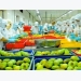 Vietnam still fumbles for way to bring fruit to global market