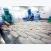 ASEAN the next big fish for Vietnam’s seafood industry