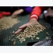 Asia Coffee: Vietnam prices little changed from last week; brisk trade in Indonesia