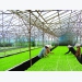Hanoi urges investment in city’s farming to meet food demand