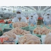 Lengthy process of Vietnamese pangasius penetrating Japanese market