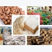 Agricultural exports fetch nearly US$20 billion